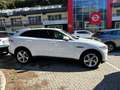 Jaguar F-Pace 2.0 D I4 180cv Prestige AWD Auto my20 2123510 Blanc - thumbnail 2