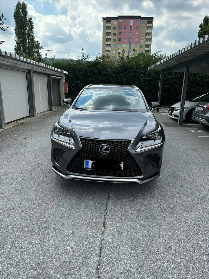 Lexus NX 300h