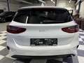 Kia Ceed / cee'd Ceed 1.0 T-GDI 100 **Prestige** Weiß - thumbnail 5