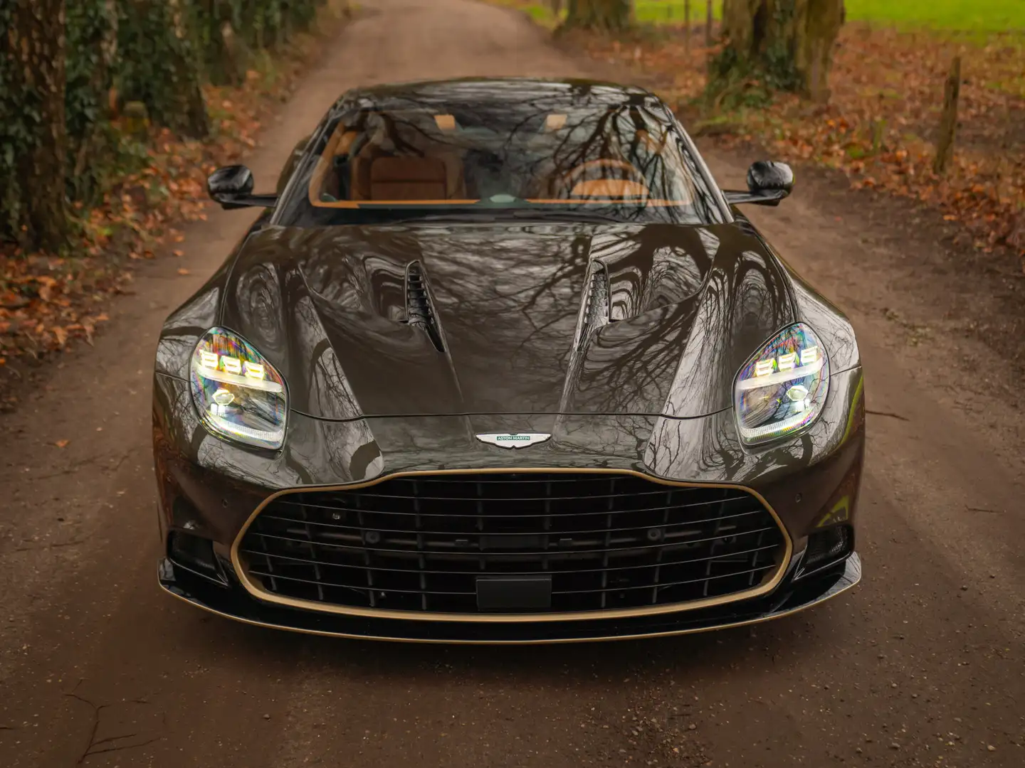 Aston Martin Vanquish | Minotaur Green | Bronze dreamlines | Carbon inte Grün - 2