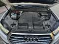 Audi Q7 3.0TDI design quattro Tip. 272 (9.75) Blanc - thumbnail 14