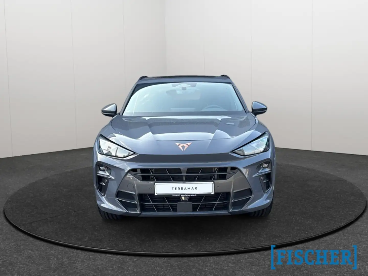 CUPRA Terramar 2.0TSI 4Drive DSG LED AHK Navi HUD Pano Sennheiser Gris - 2