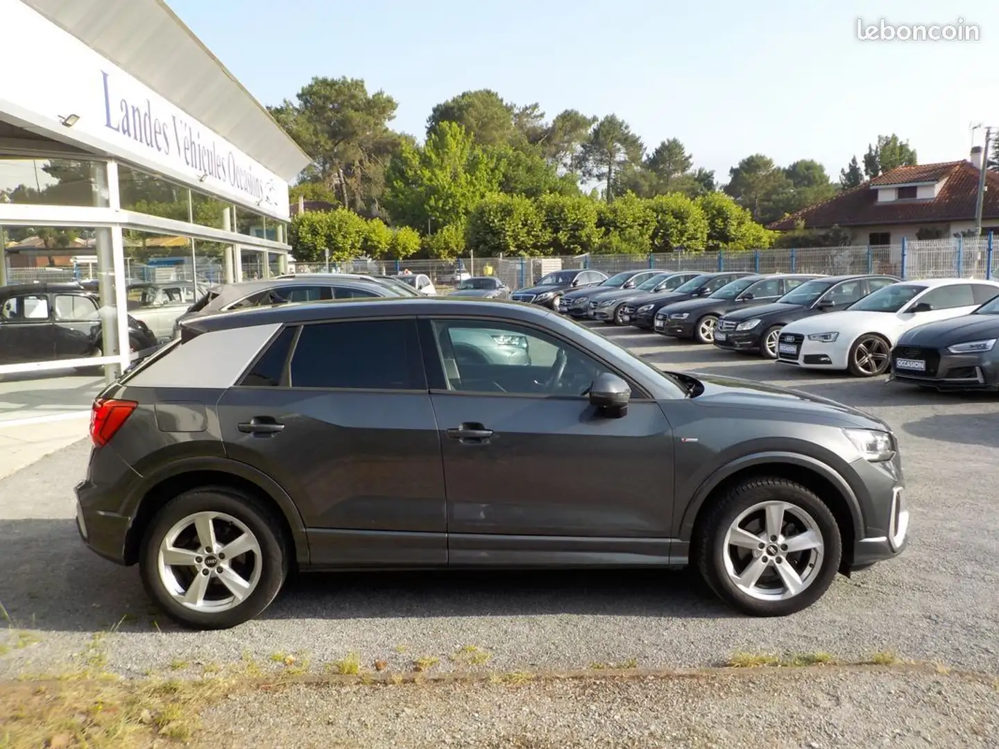 Audi Q2 (2) 35 tfsi 150 design s tronic - 2