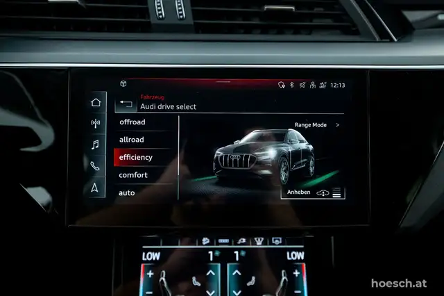 Audi E-Tron view 15