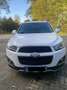 Chevrolet Captiva 2.2 TD AWD Automatik LTZ - thumbnail 5