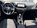 Kia XCeed STYLE MY26 1.6 T-GDI  150 PS -7DCT-Navi-SHZ-beh... Grau - thumbnail 7
