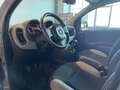 Fiat Panda 1.0 FireFly S&S Hybrid Grigio - thumbnail 7