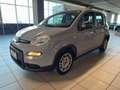 Fiat Panda 1.0 FireFly S&S Hybrid Grigio - thumbnail 1