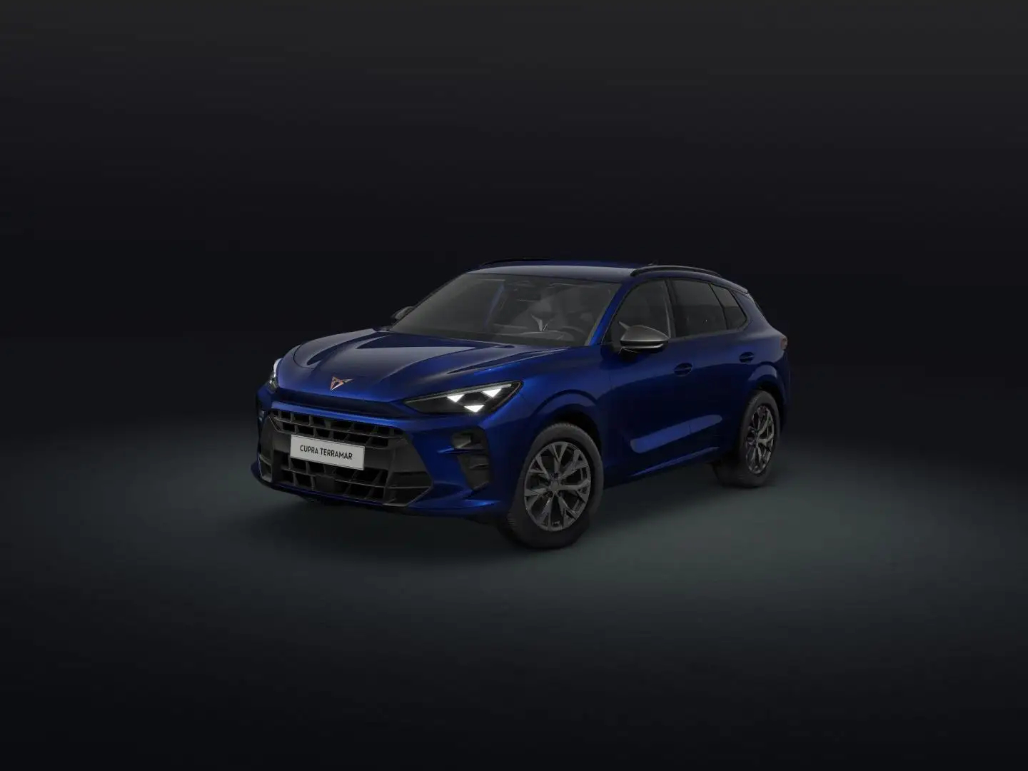 CUPRA Terramar 1.5 eTSI 110 DSG Azul - 1