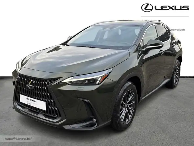 Lexus NX 350h Executive Line + HUD