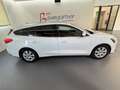 Ford Focus Traveller 2,0TDCi *NAVI*ACC*AHK*Sitzheizung*Tem... Blanc - thumbnail 3