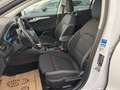 Ford Focus Traveller 2,0TDCi *NAVI*ACC*AHK*Sitzheizung*Tem... Blanc - thumbnail 12