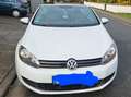 Volkswagen Golf Cabriolet Golf Cabrio 1.2 TSI BlueMotion Technology Cup Bianco - thumbnail 5