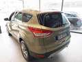 Ford Kuga 2.0 TDCI 120 CV S&S 2WD Titanium Brun - thumbnail 12