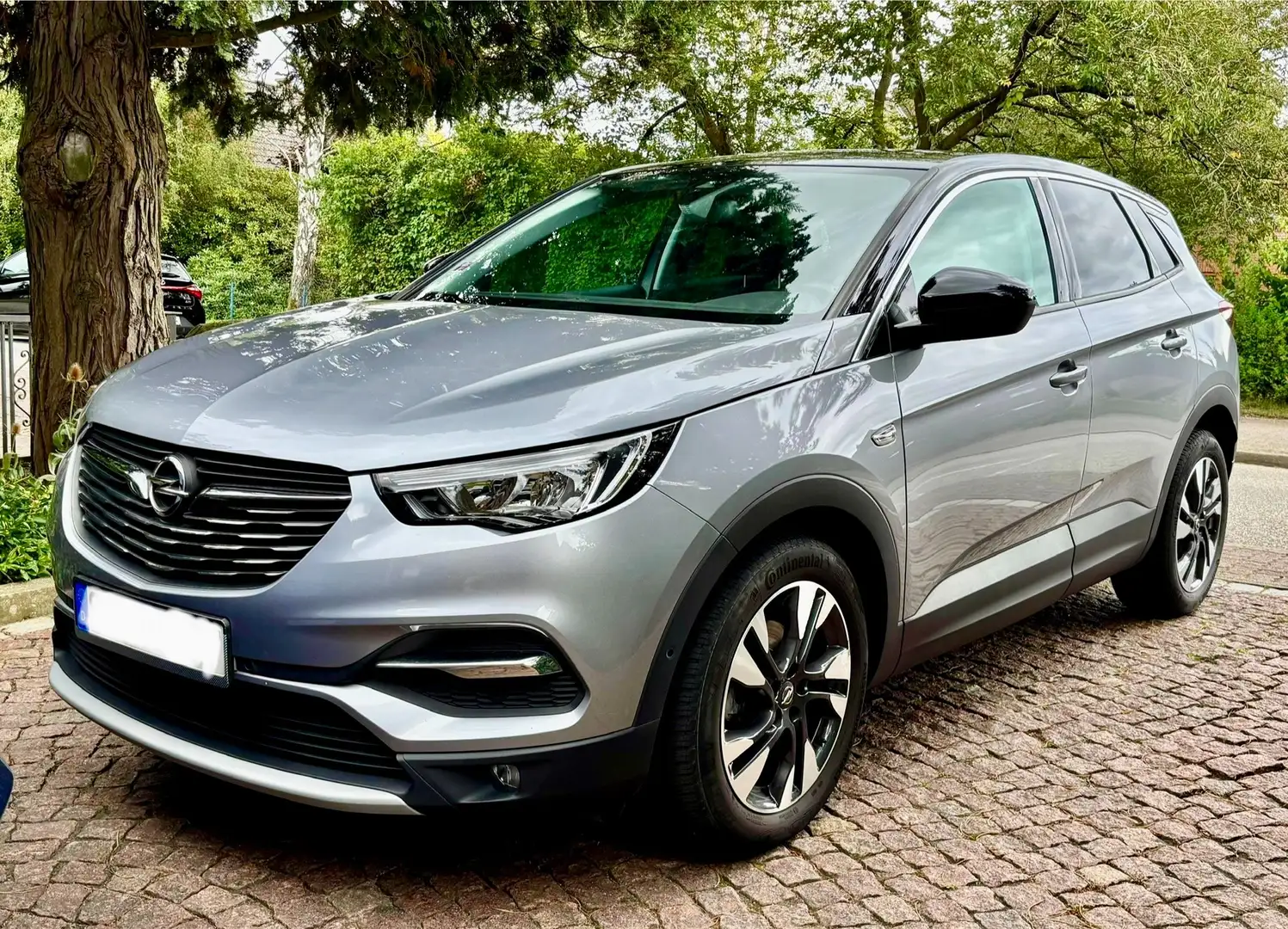 Opel Grandland X Grandland X 1.2 Start/Stop Design Line Zilver - 1