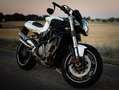MV Agusta Brutale 910 Blanc - thumbnail 4