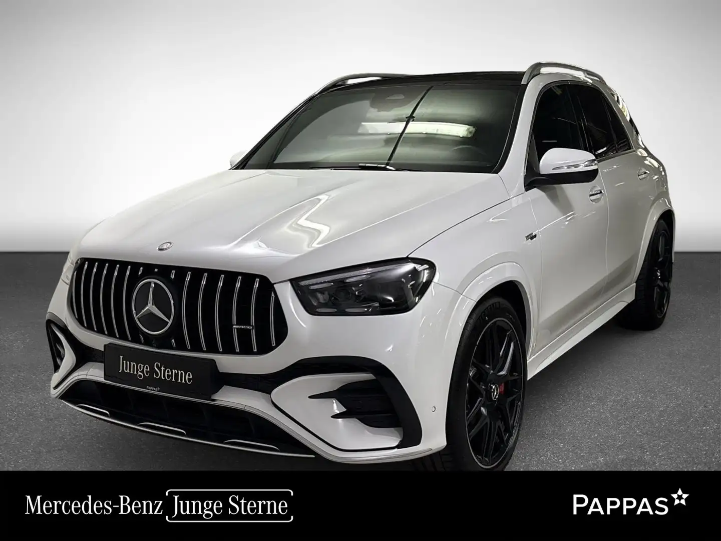 Mercedes-Benz GLE 53 AMG HYBRID 4MATIC+ Perf-AGA SHZ EASY-PACK Weiß - 1