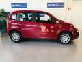 Fiat Panda 1.0 firefly hybrid 5 posti + ADAS +PACK CITY Rood - thumbnail 2