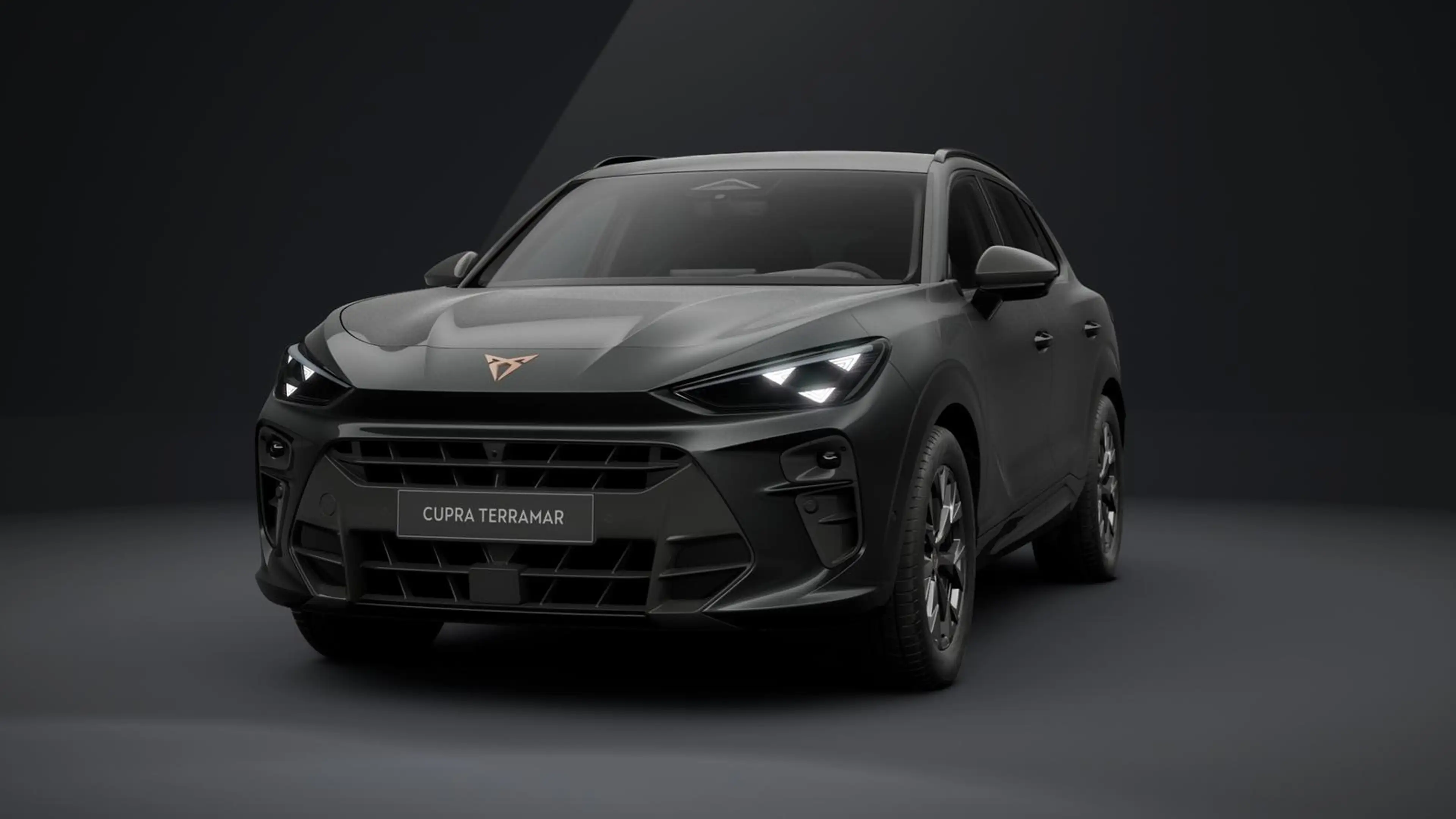 CUPRA Terramar 1.5 eTSI DSG AHK NAVI TOTW. SITZH. 360° — photo 2
