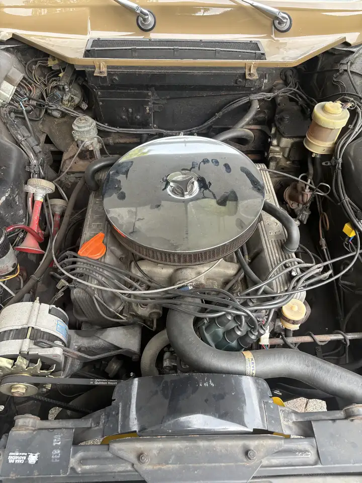 Rover P6 3500 S “ONE OFF”, foto 11