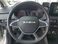 Dacia Jogger Extreme+ TCe 110 Silber - thumbnail 13