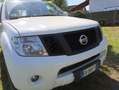 Nissan Pathfinder Pathfinder III 2010 2.5 dci Sport Bílá - thumbnail 9