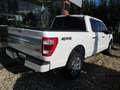 Ford F 150 Platinum SYNC 4 Navi Europa, Panoramadach, Allrad Blanco - thumbnail 5