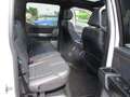 Ford F 150 Platinum SYNC 4 Navi Europa, Panoramadach, Allrad Biały - thumbnail 9