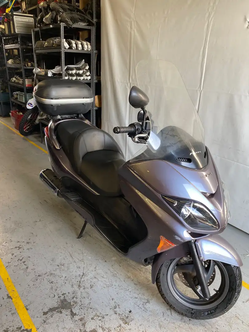 Honda Forza 250 Gris - 2