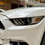 Ford Mustang Mustang Fastback 5.0 V8 GT 421cv **AUTO ITALIANA** Bianco - thumbnail 4