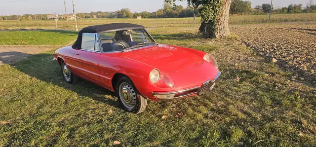 Alfa Romeo Spider duetto 1.6  osso di seppia