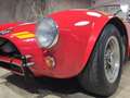 Shelby Sonstige 289 FIA Rot - thumbnail 33