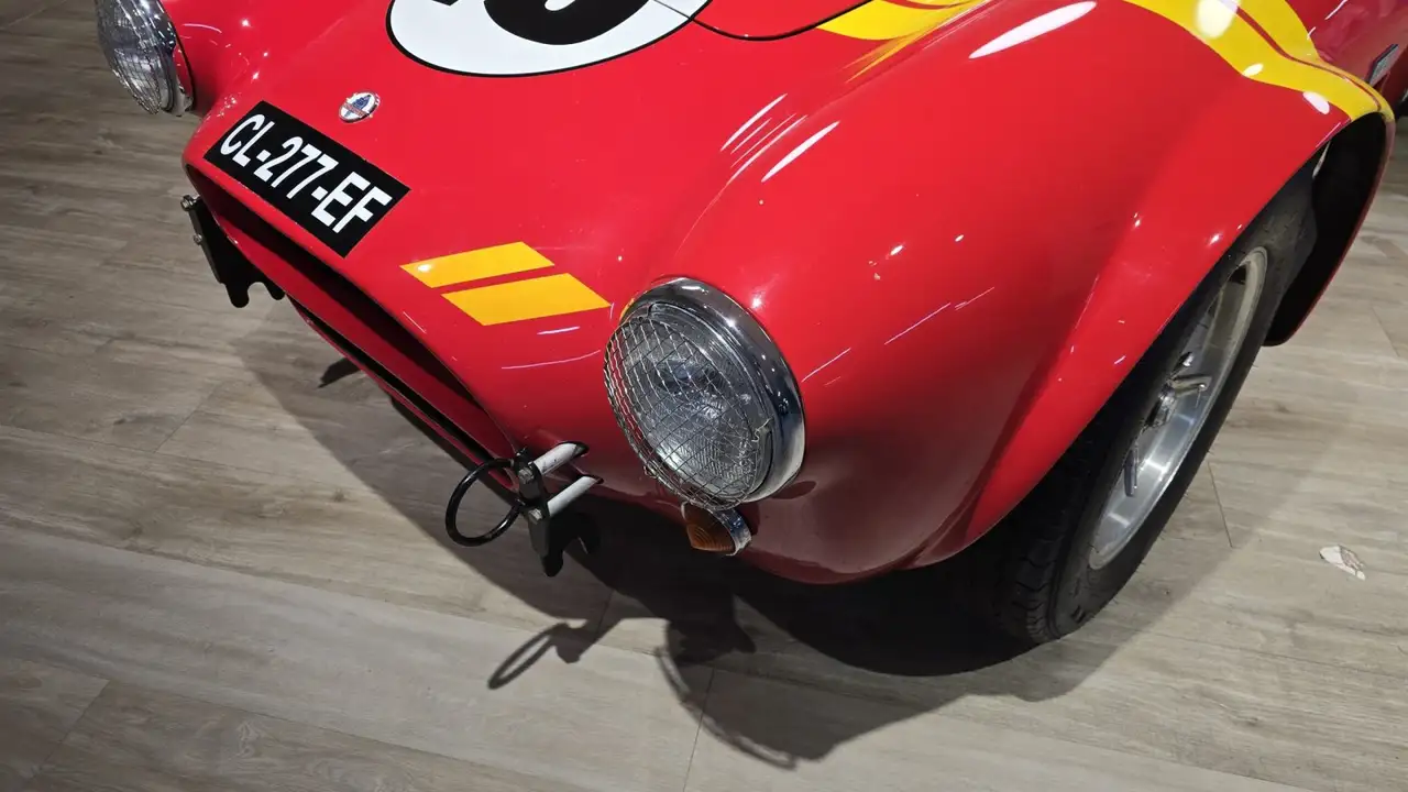 Shelby 289 FIA, foto 3