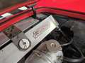 Shelby Sonstige 289 FIA Rot - thumbnail 20