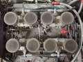 Shelby Sonstige 289 FIA Rot - thumbnail 23