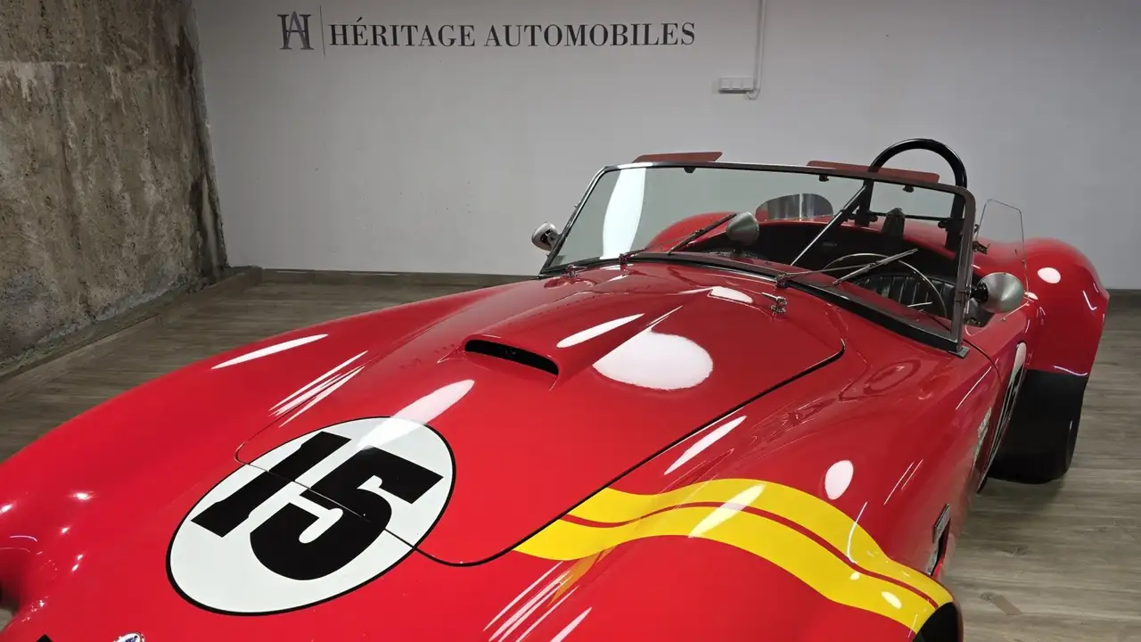 Shelby 289 FIA, foto 4