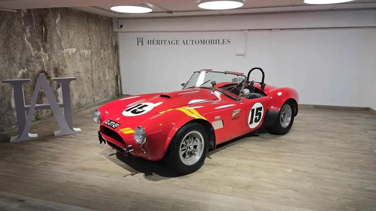Shelby 289 FIA, foto 1