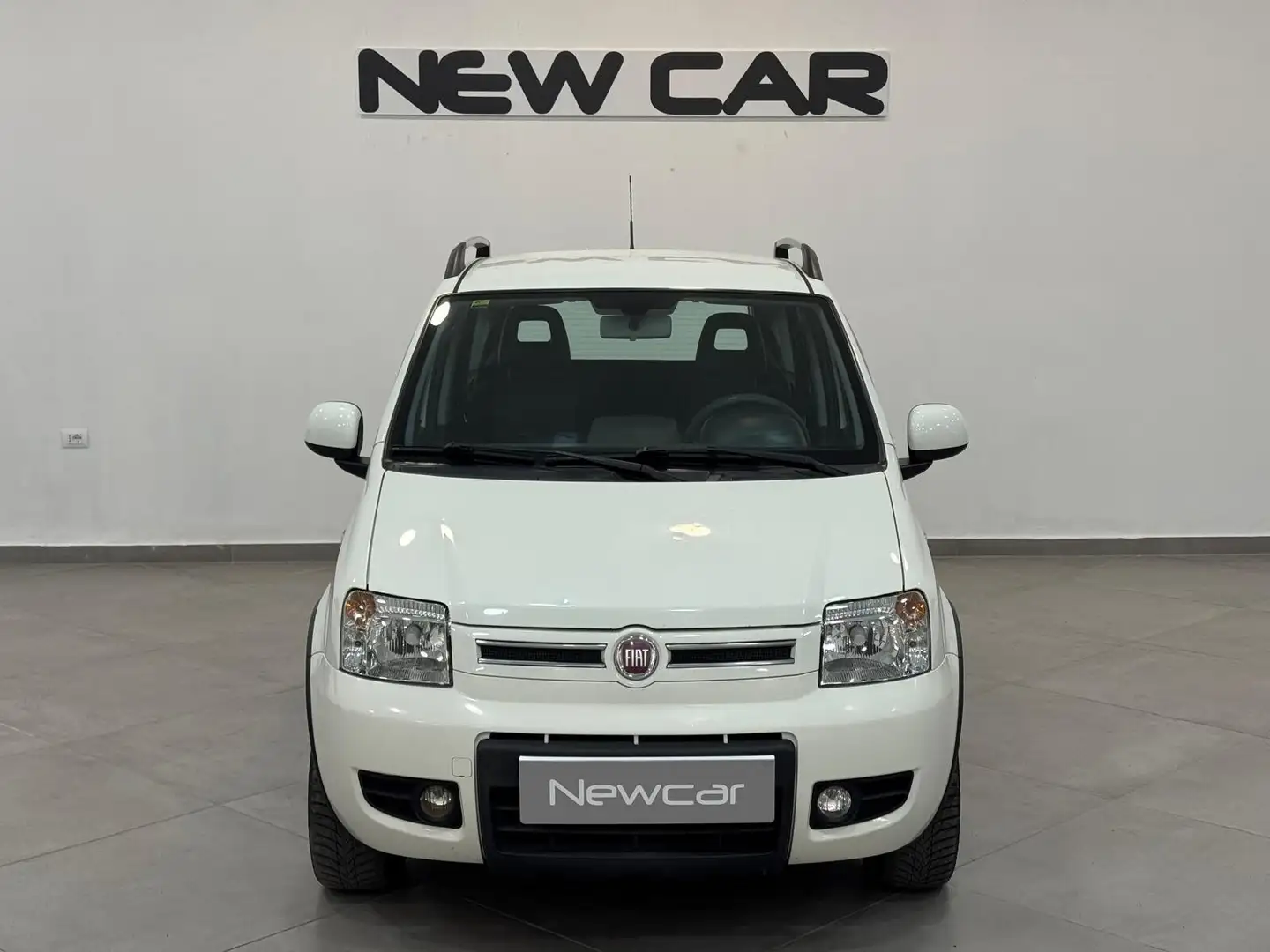 Fiat Panda Panda 1.2 4x4 Climbing GPL Bianco - 2
