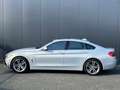 BMW 428 428i Aut. Sport Line S.dak Navi Leder Xenon e.Trek Grigio - thumbnail 12