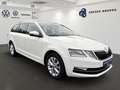 Skoda Octavia Combi 2.0TDI DSG Style LED+ACC+STNDHZG+++ Bianco - thumbnail 2