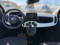 Fiat Panda Cross Hybrid 1.0  TOUCH CARPLAY PDC KLIMA Schwarz - thumbnail 11