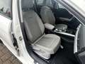 Audi A4 40 TDI S tronic S LINE Matrix ACC 1-Hd 204PS Blanc - thumbnail 6