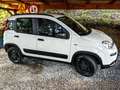 Fiat Panda Panda III 2021 4x4 Cross 0.9 t.air t. Cross 4x4 s Weiß - thumbnail 13