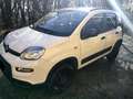 Fiat Panda Panda III 2021 4x4 Cross 0.9 t.air t. Cross 4x4 s Weiß - thumbnail 11