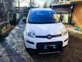 Fiat Panda Panda III 2021 4x4 Cross 0.9 t.air t. Cross 4x4 s Weiß - thumbnail 1