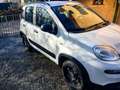 Fiat Panda Panda III 2021 4x4 Cross 0.9 t.air t. Cross 4x4 s Weiß - thumbnail 6
