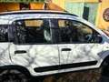 Fiat Panda Panda III 2021 4x4 Cross 0.9 t.air t. Cross 4x4 s Weiß - thumbnail 7