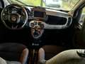 Fiat Panda Panda III 2021 4x4 Cross 0.9 t.air t. Cross 4x4 s Weiß - thumbnail 4