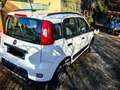Fiat Panda Panda III 2021 4x4 Cross 0.9 t.air t. Cross 4x4 s Weiß - thumbnail 8