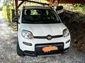 Fiat Panda Panda III 2021 4x4 Cross 0.9 t.air t. Cross 4x4 s Weiß - thumbnail 14